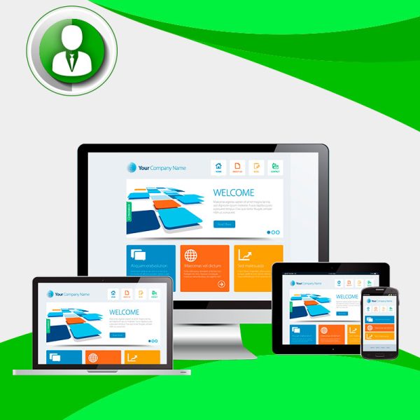 Web Profesional